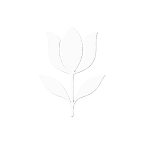 Flor del Alma